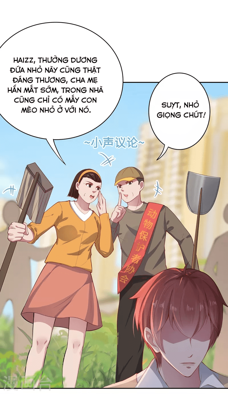 Ta Vốn Là Mèo Chapter 2 - Trang 12