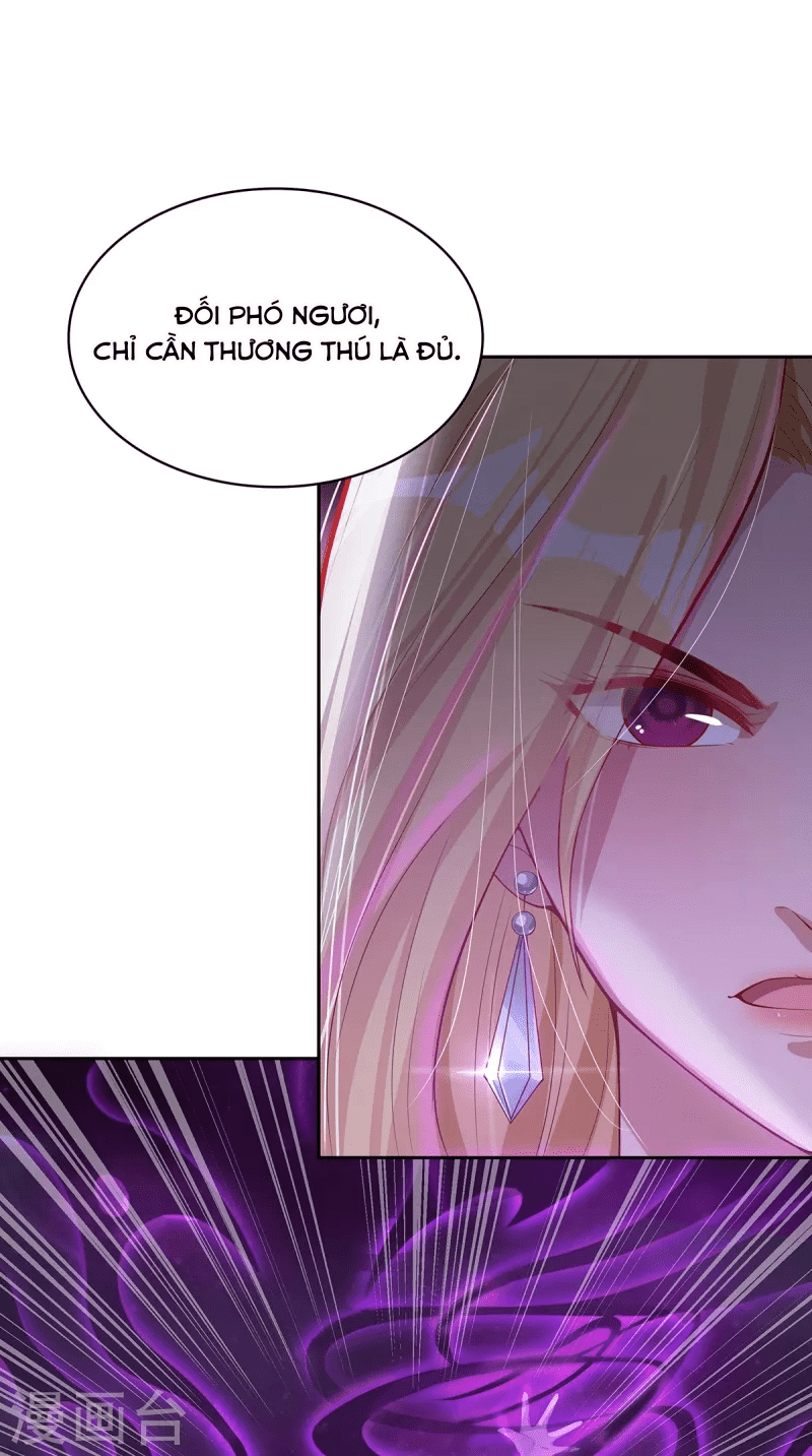 Ta Vốn Là Mèo Chapter 3 - Trang 13