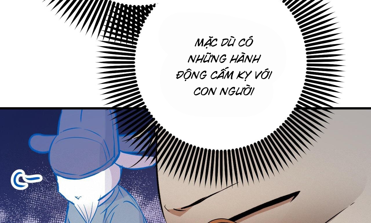 Đàn Thỏ Của Habibi Chapter 56 - Trang 253