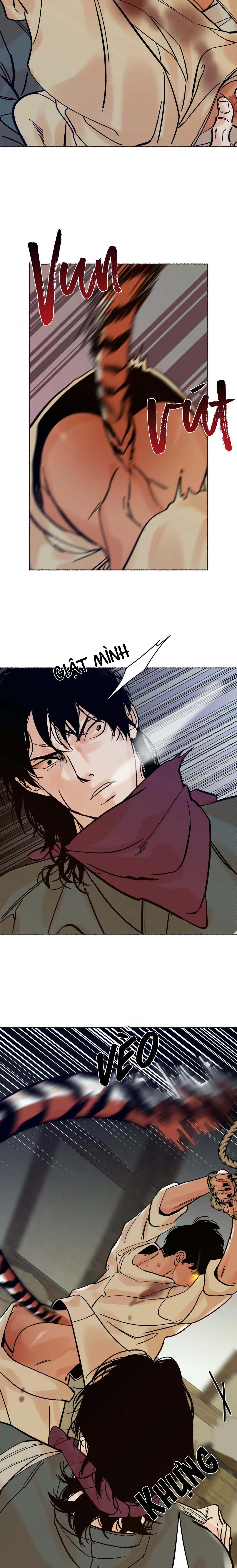 Hổ Ngàn Năm Chapter 10 - Trang 11