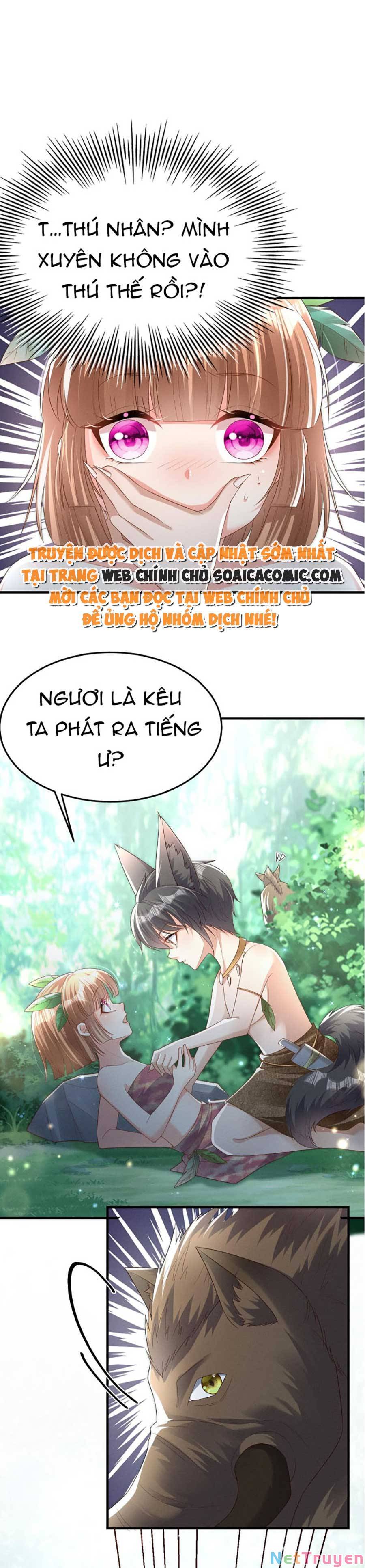 Phu Quân Thú Thế Tranh Sủng Thành Nghiện Chapter 1 - Trang 5