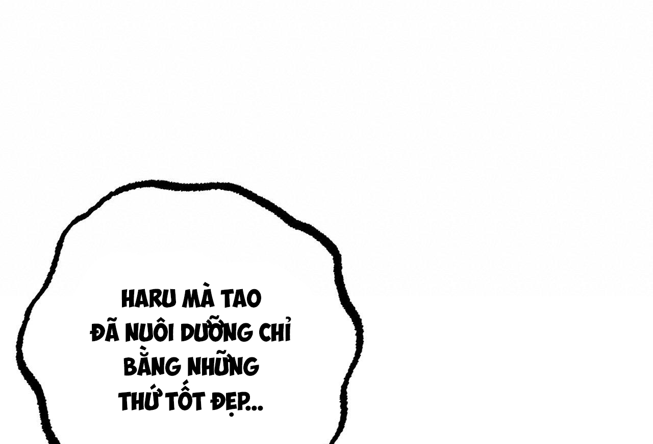 Đàn Thỏ Của Habibi Chapter 57 - Trang 236