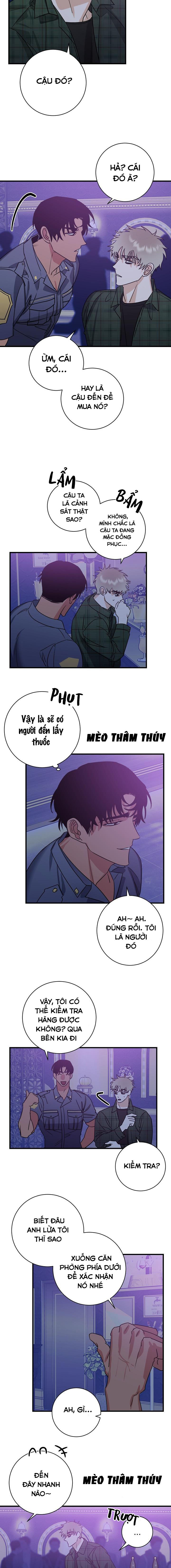 Cục Cưng À! Em Là Tội Nhân XXX Chapter 1 - Trang 8