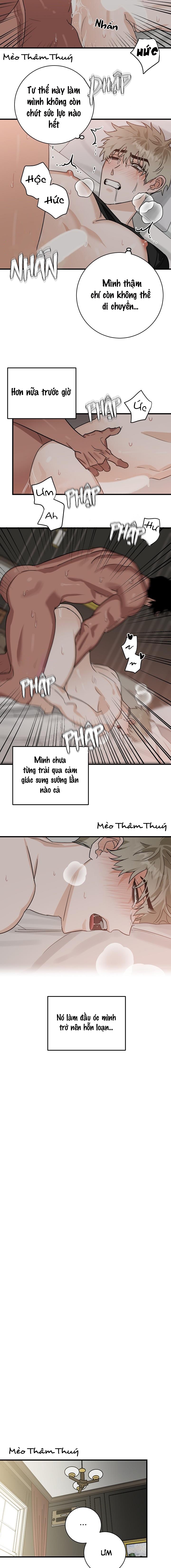 Cục Cưng À! Em Là Tội Nhân XXX Chapter 3: End - Trang 7