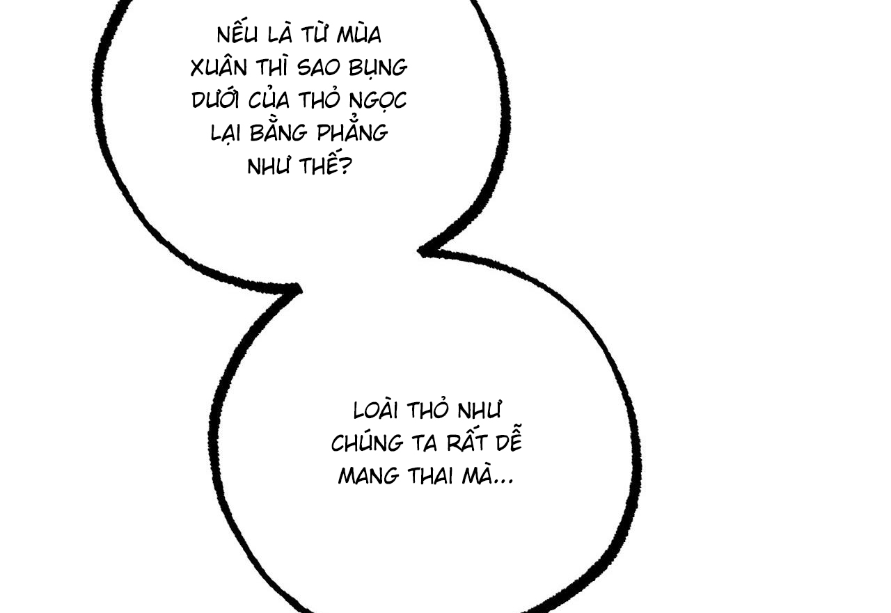 Đàn Thỏ Của Habibi Chapter 59 - Trang 241