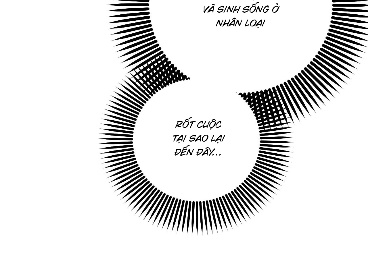 Đàn Thỏ Của Habibi Chapter 59 - Trang 40