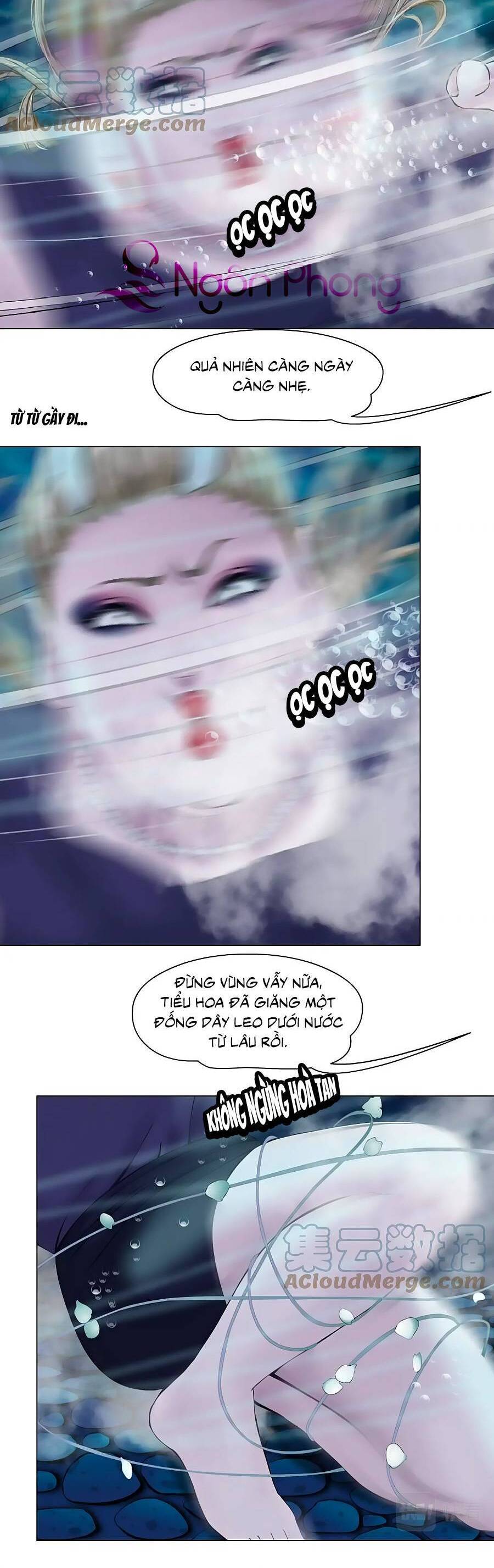 Đằng Nữ Chapter 163 - Trang 5