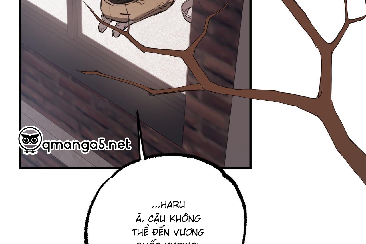 Đàn Thỏ Của Habibi Chapter 61 - Trang 51