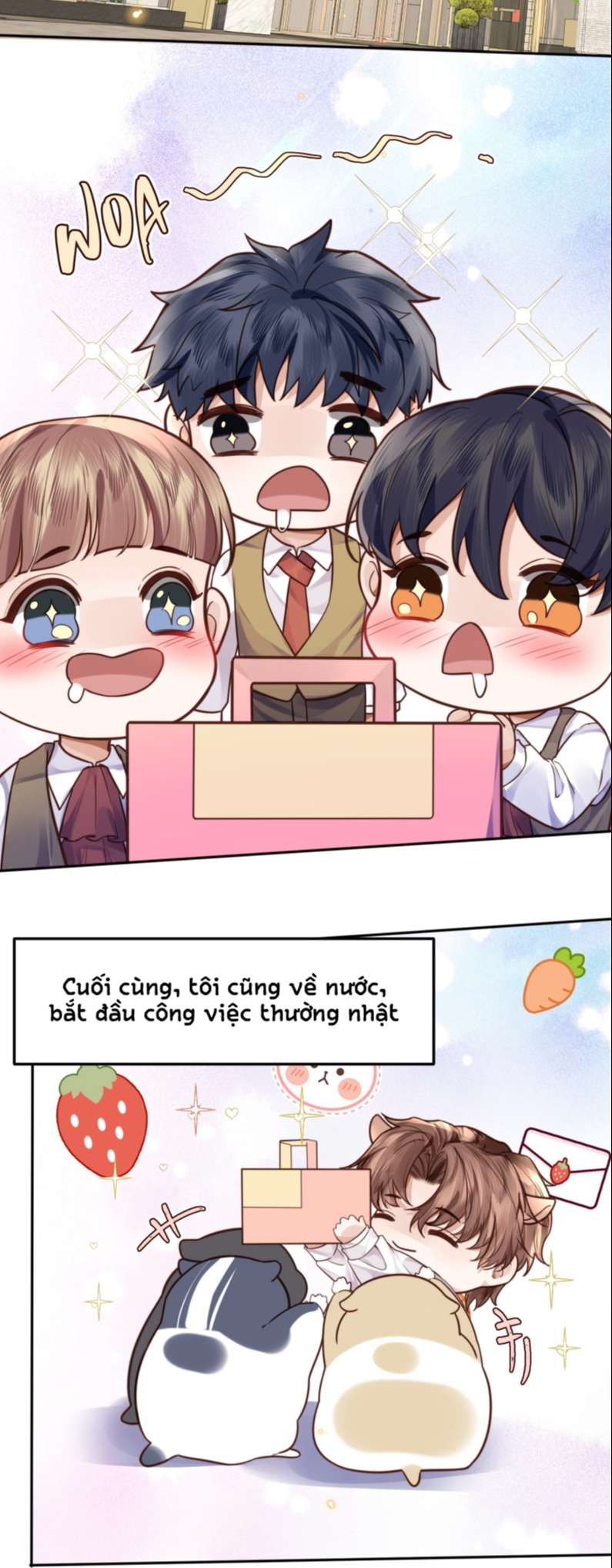 Tổng Tài Định Chế Tư Nhân Chapter 30 - Trang 11