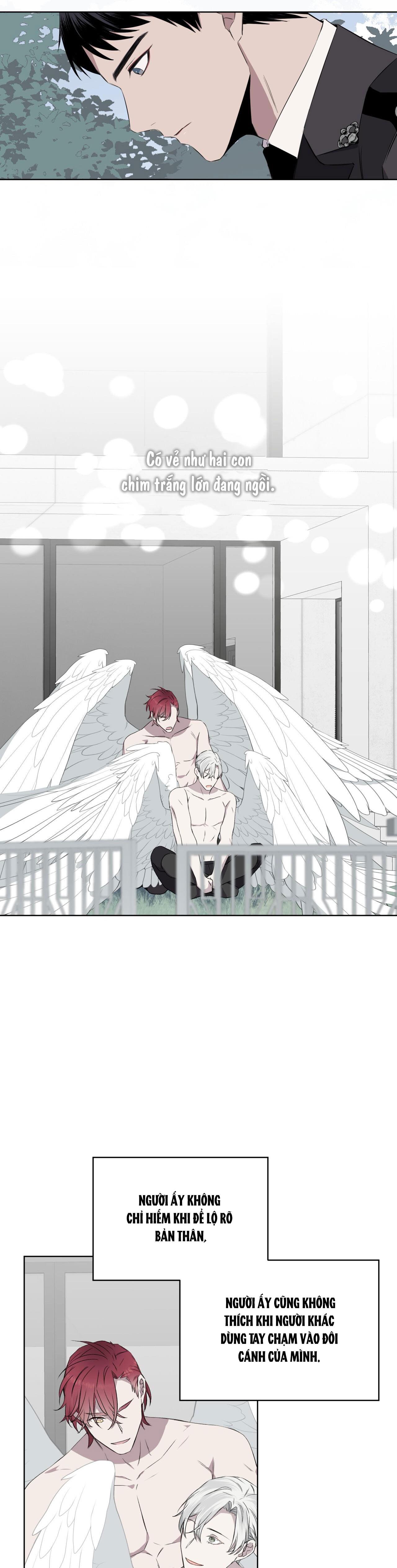 Rừng Biển Chapter 22 - Trang 27