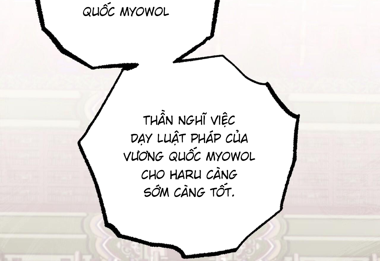 Đàn Thỏ Của Habibi Chapter 62 - Trang 245