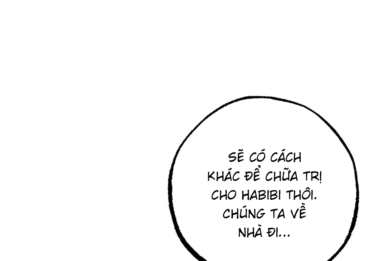 Đàn Thỏ Của Habibi Chapter 62 - Trang 253