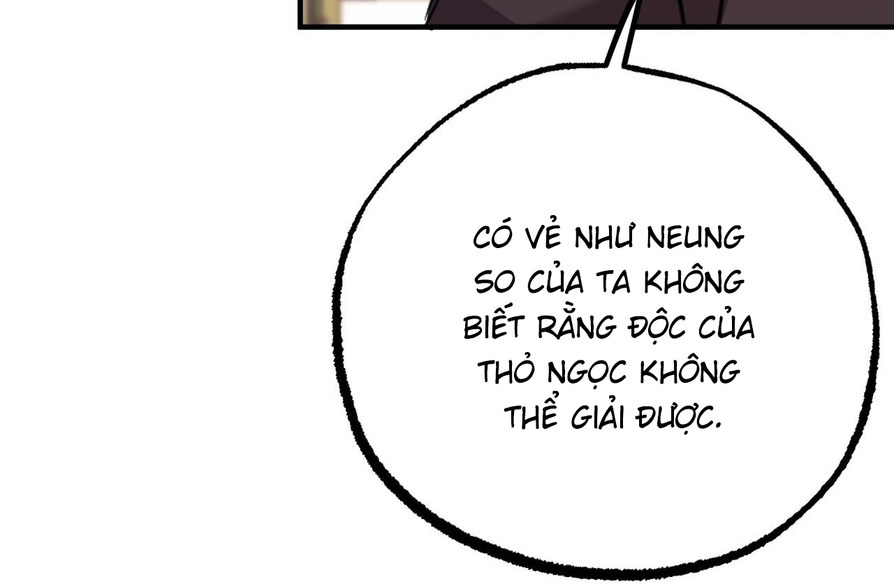 Đàn Thỏ Của Habibi Chapter 62 - Trang 71