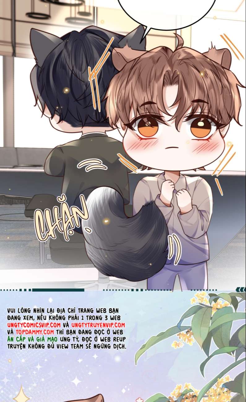 Tổng Tài Định Chế Tư Nhân Chapter 34 - Trang 19