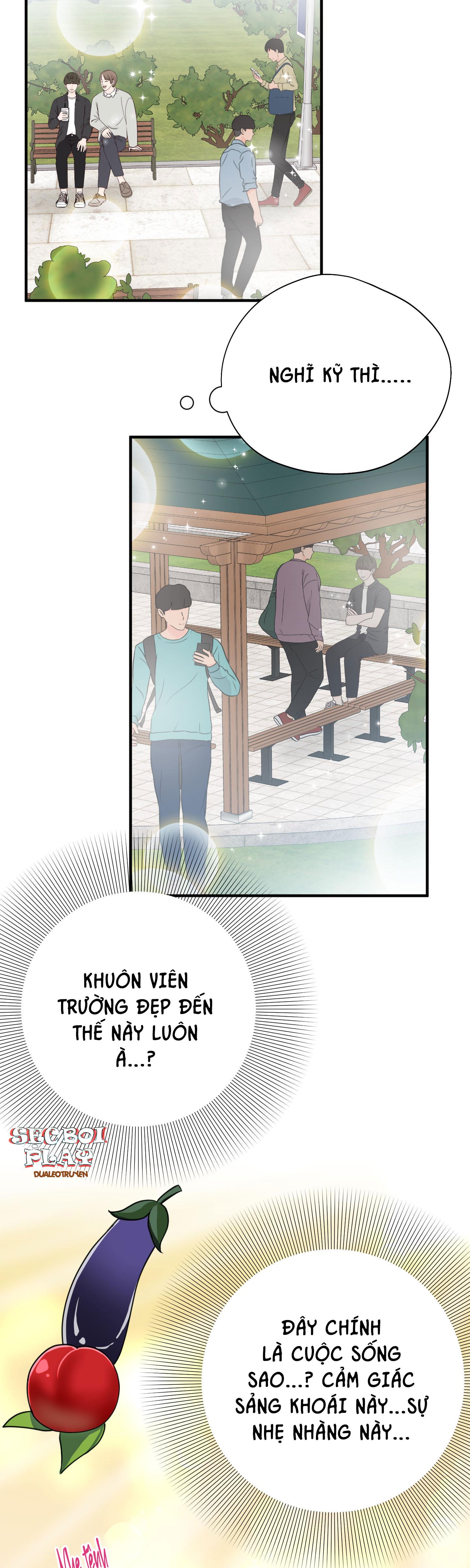 Món Quà Dành Cho Kẻ Ngạo Mạn Chapter 12 - Trang 6