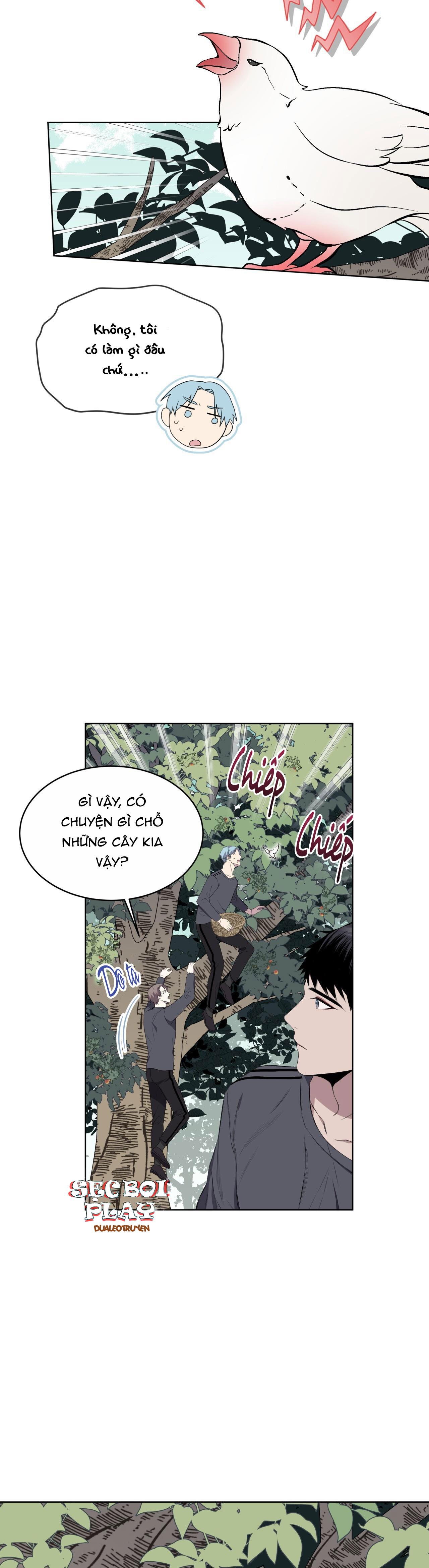 Rừng Biển Chapter 24 - Trang 4