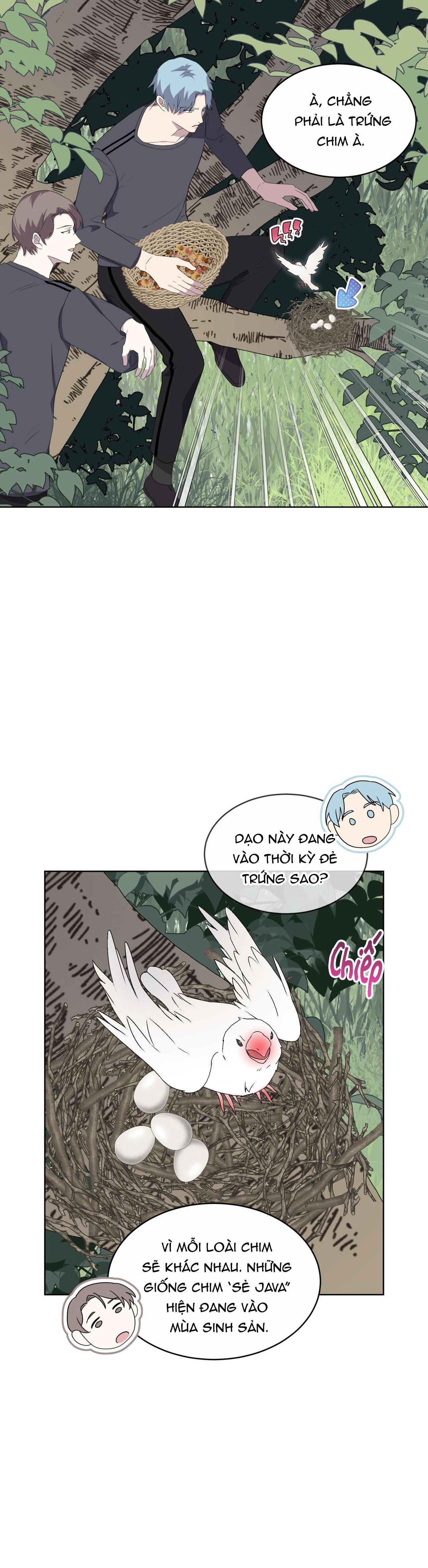 Rừng Biển Chapter 24 - Trang 5