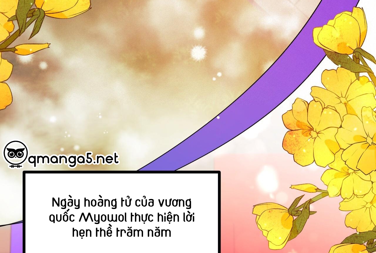 Đàn Thỏ Của Habibi Chapter 65: End - Trang 120