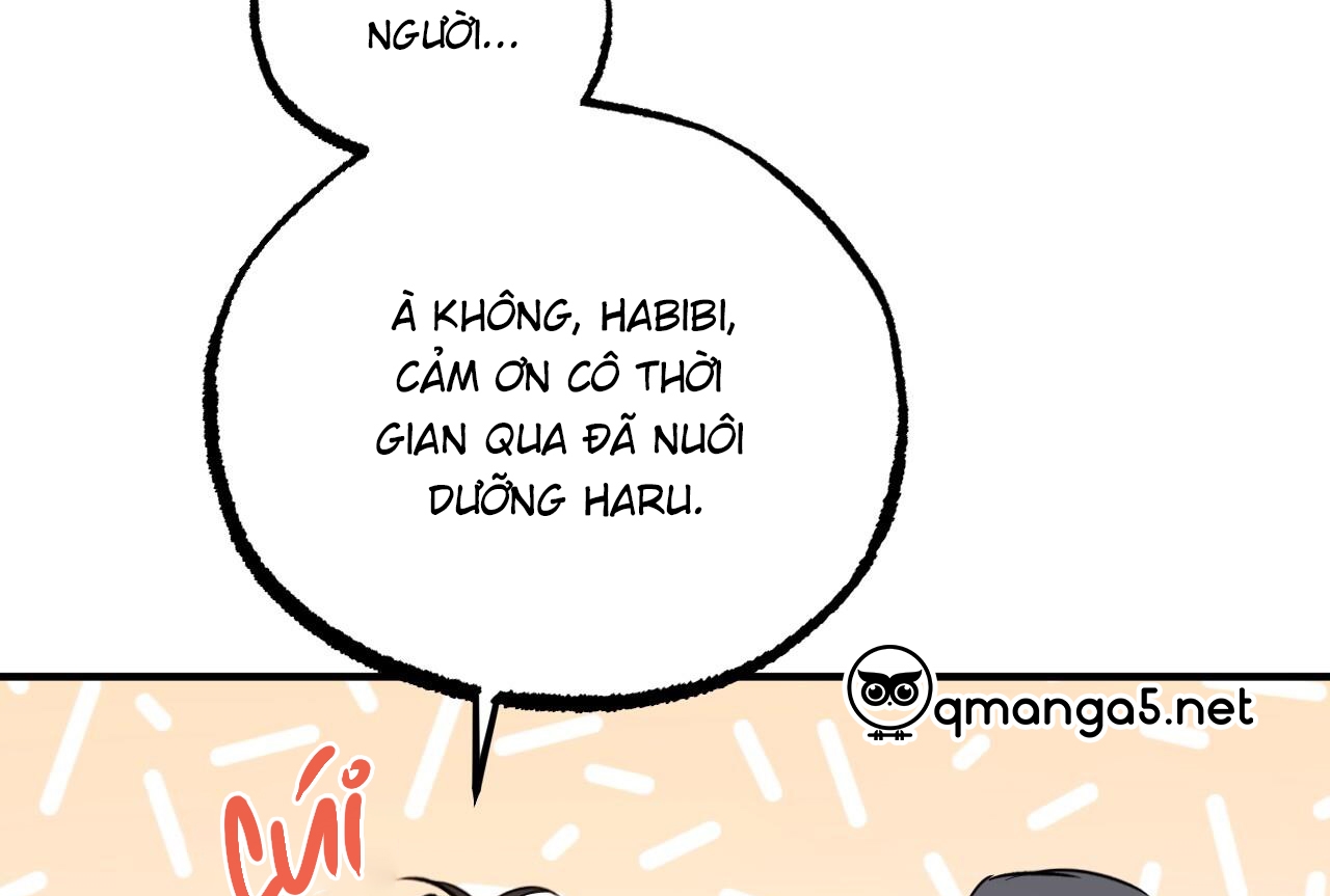 Đàn Thỏ Của Habibi Chapter 65: End - Trang 143