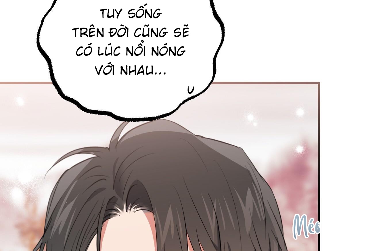 Đàn Thỏ Của Habibi Chapter 65: End - Trang 166