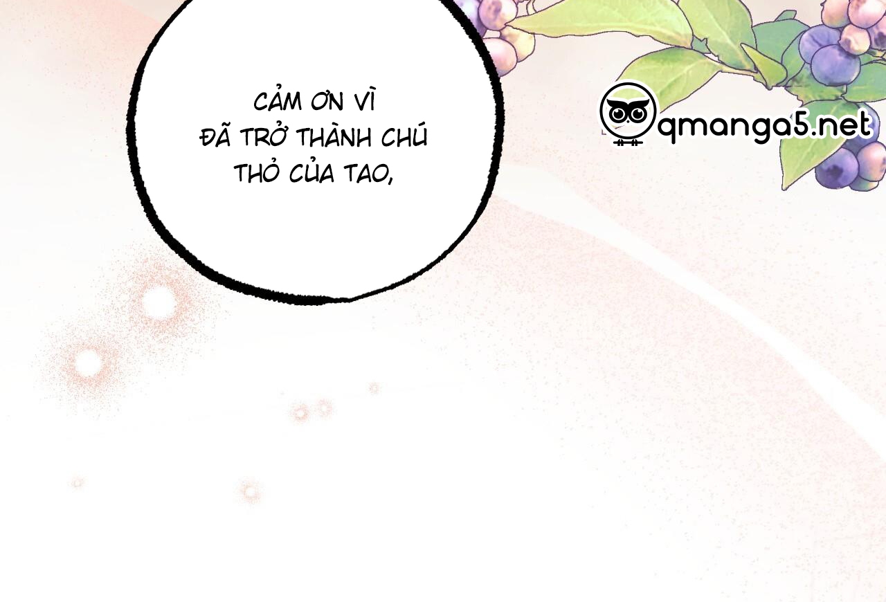 Đàn Thỏ Của Habibi Chapter 65: End - Trang 205