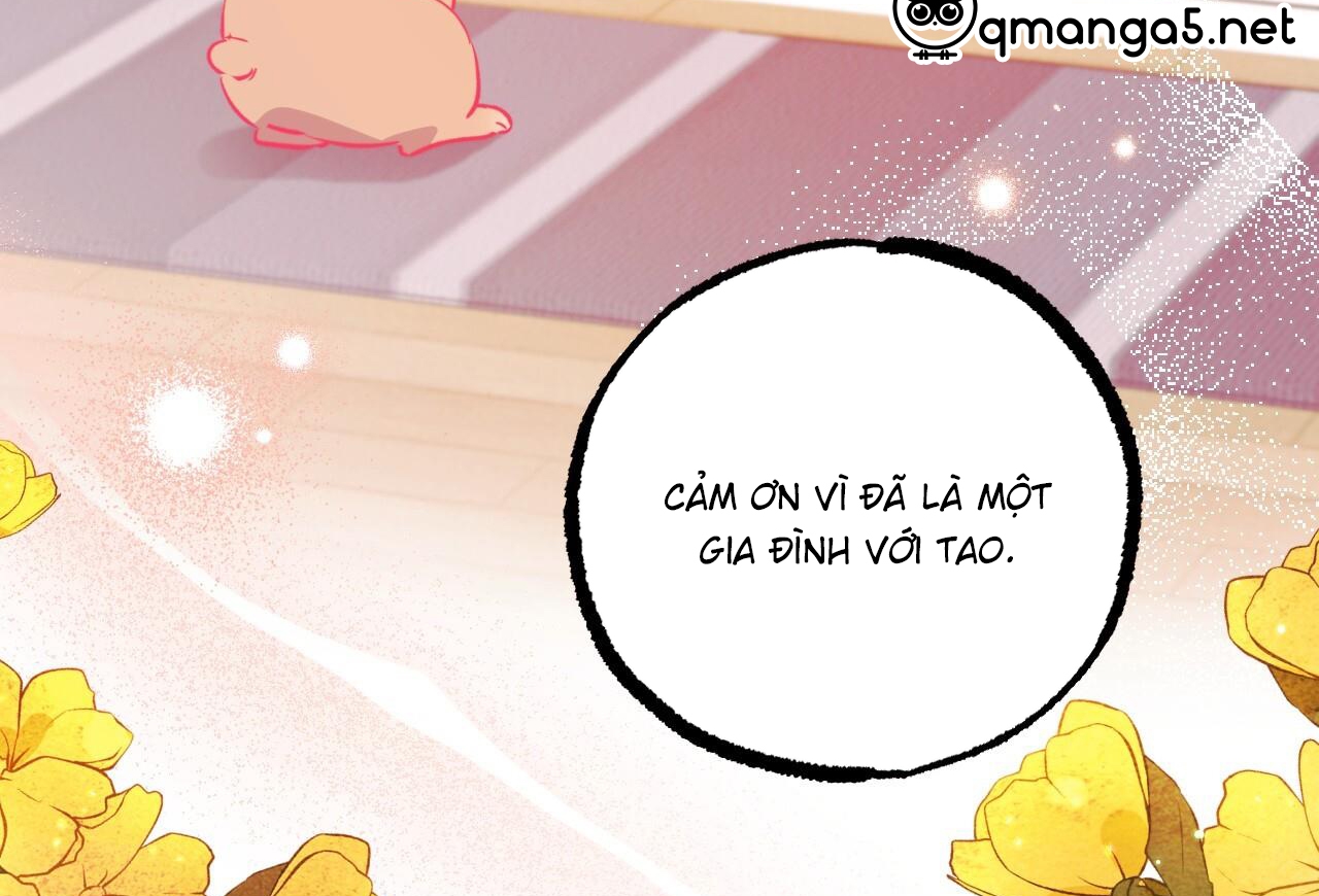 Đàn Thỏ Của Habibi Chapter 65: End - Trang 211