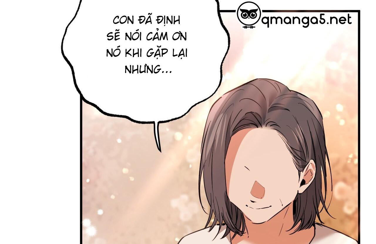 Đàn Thỏ Của Habibi Chapter 65: End - Trang 53