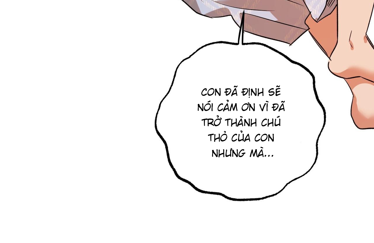 Đàn Thỏ Của Habibi Chapter 65: End - Trang 56