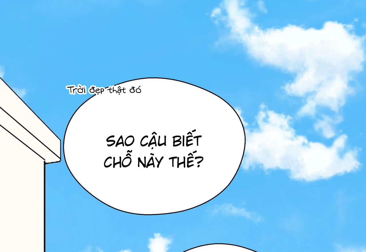 Chứng sợ Pheromone Chapter 41 - Trang 4