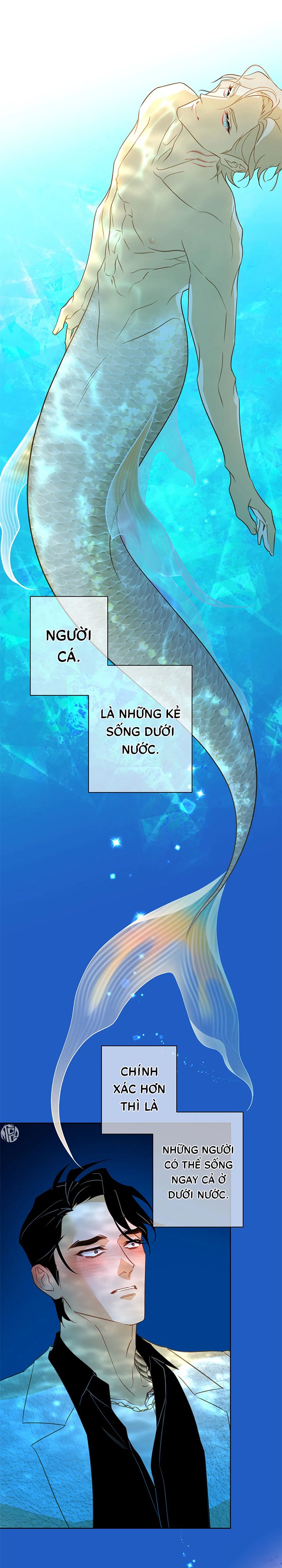 Tình Đầu Của Chủ Tiệm Sashimi Là Người Cá Chapter 2 - Trang 3