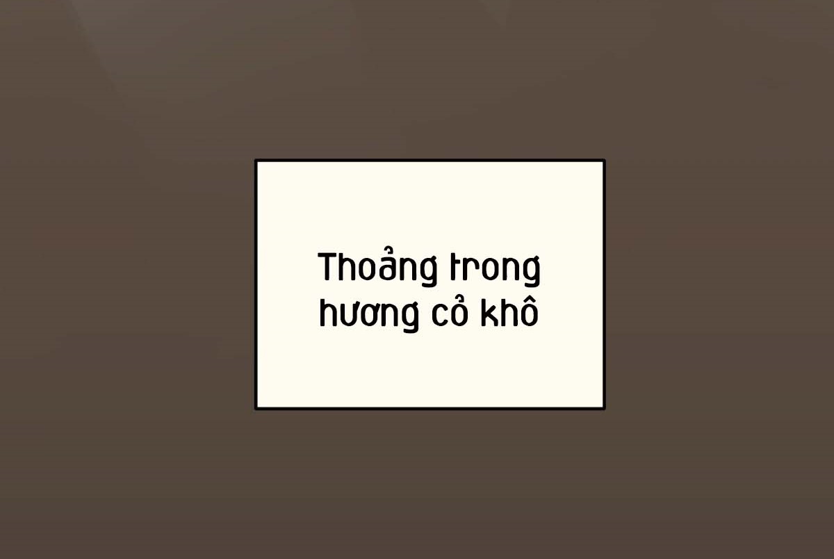 Tương Phùng Chapter 27 - Trang 35