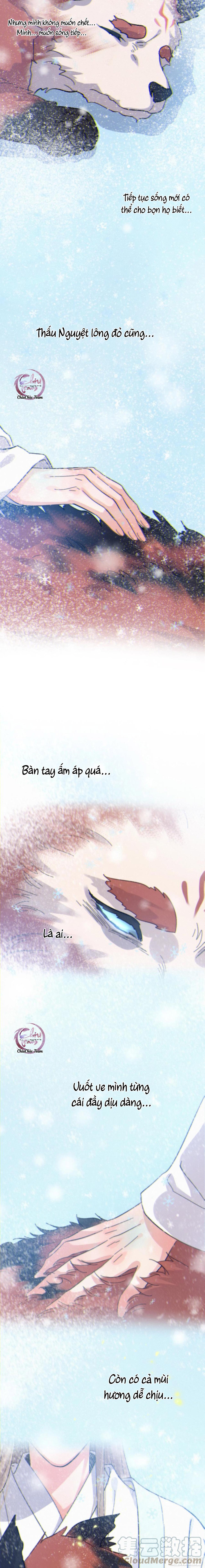 Khi Người Say Giấc Chapter 28 - Trang 4
