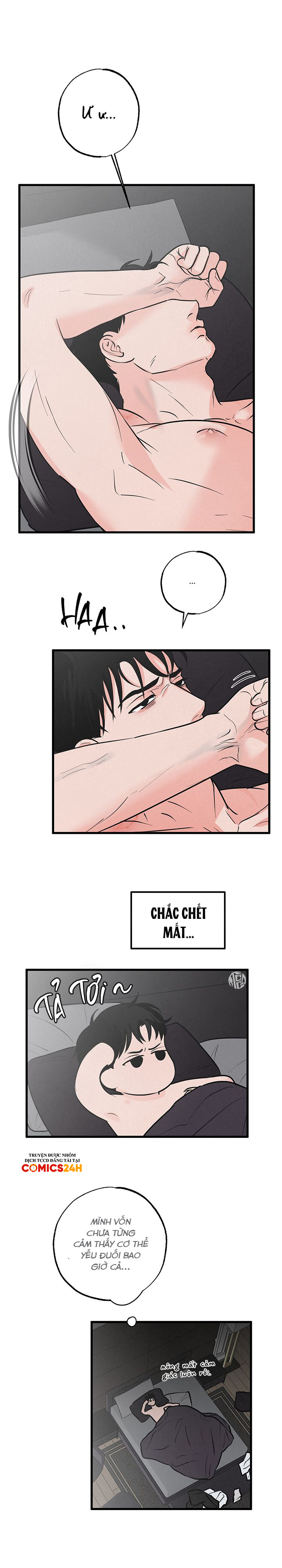 Mảnh Ghép Hoàn Hảo Chapter 7 - Trang 4