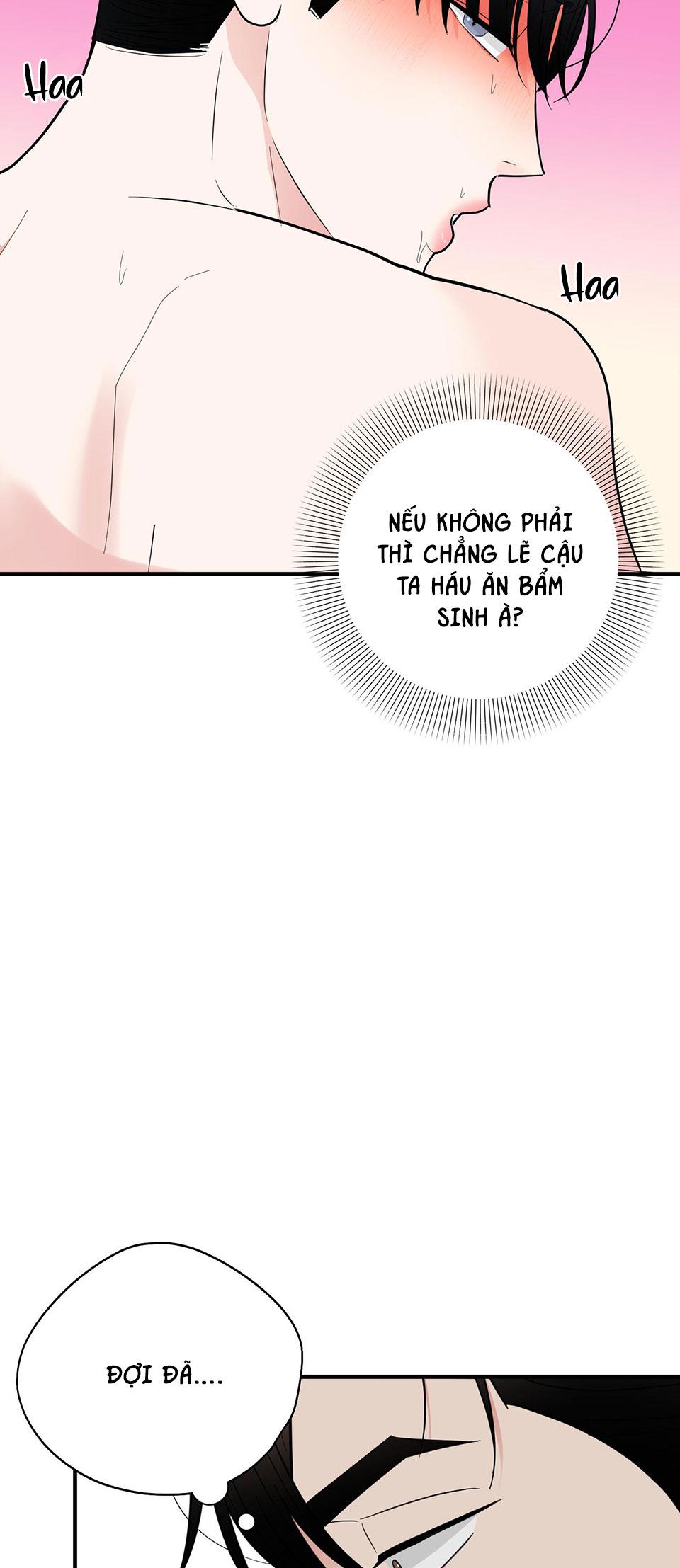 Món Quà Dành Cho Kẻ Ngạo Mạn Chapter 23 - Trang 12