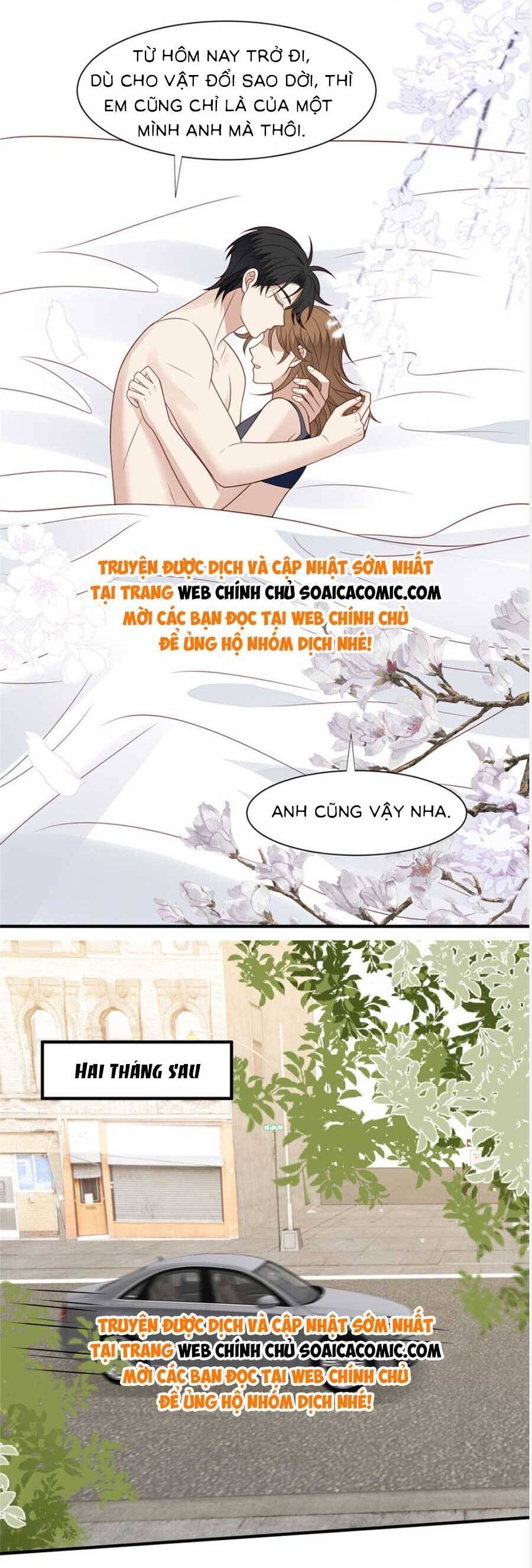 Lưng Dựa Núi Lớn Đứng Vững C Vị Chapter 198 - Trang 8