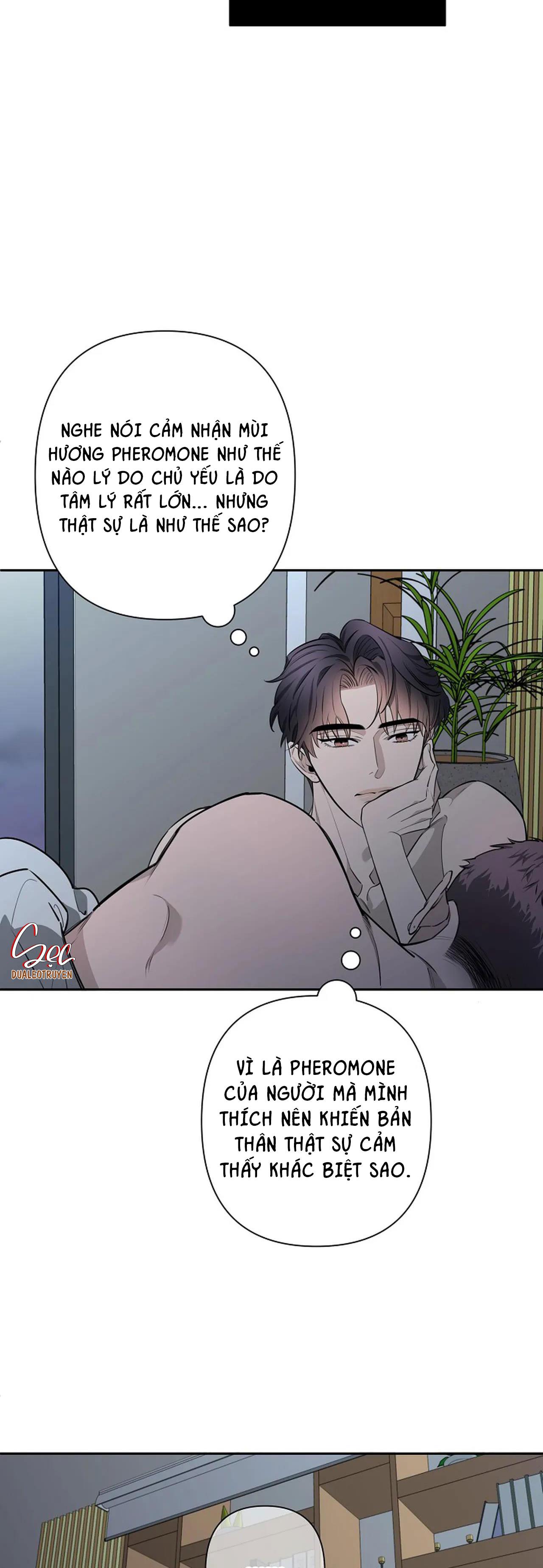 Đêm Dịu Dàng Chapter 32 - Trang 11