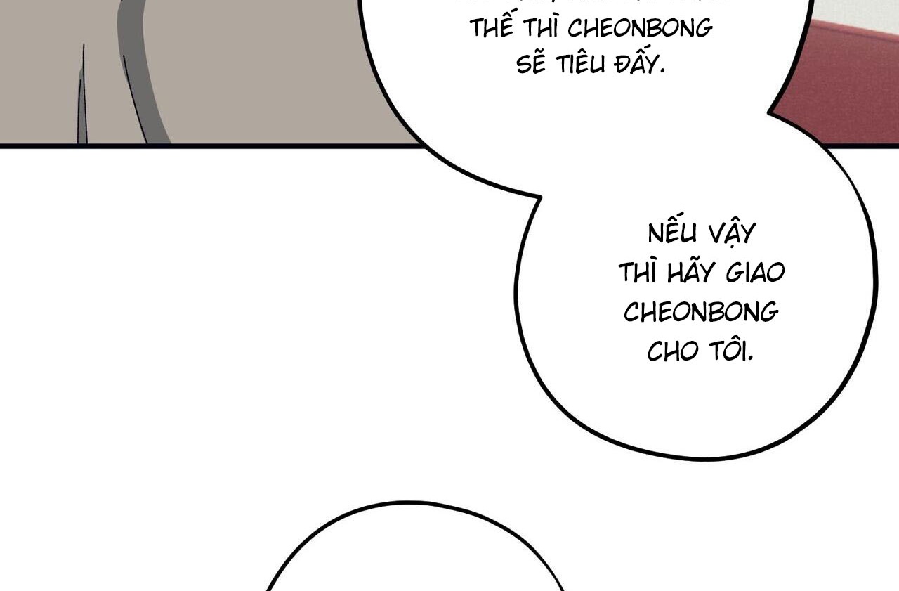 Chàng Dâu Nhà Họ Kang Chapter 42 - Trang 148