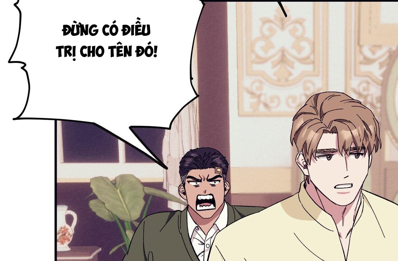 Chàng Dâu Nhà Họ Kang Chapter 42 - Trang 22