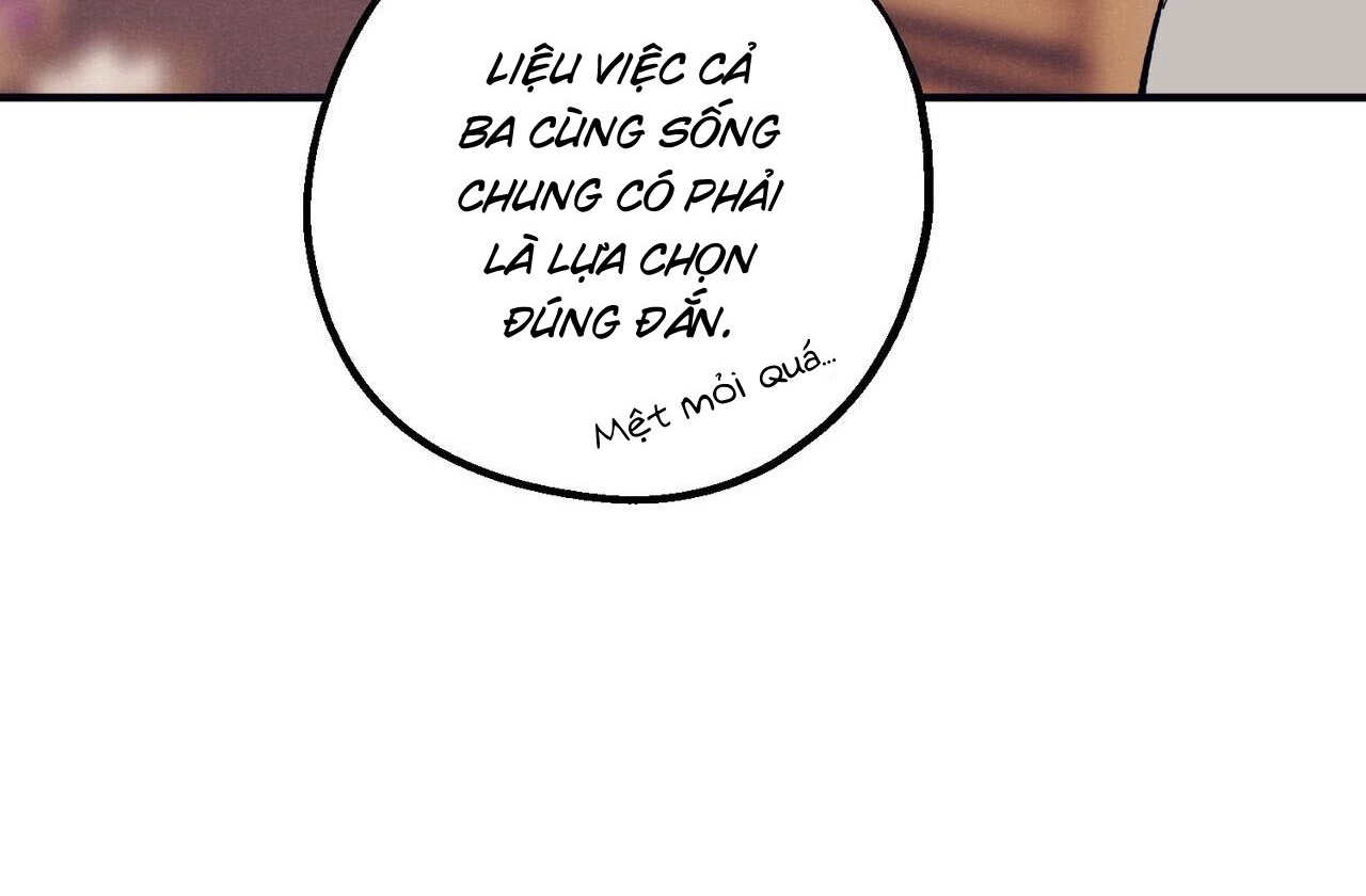 Chàng Dâu Nhà Họ Kang Chapter 42 - Trang 95