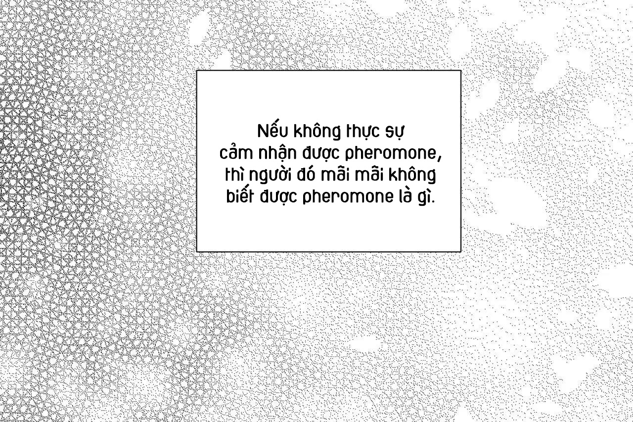 Chứng sợ Pheromone Chapter 60 - Trang 36