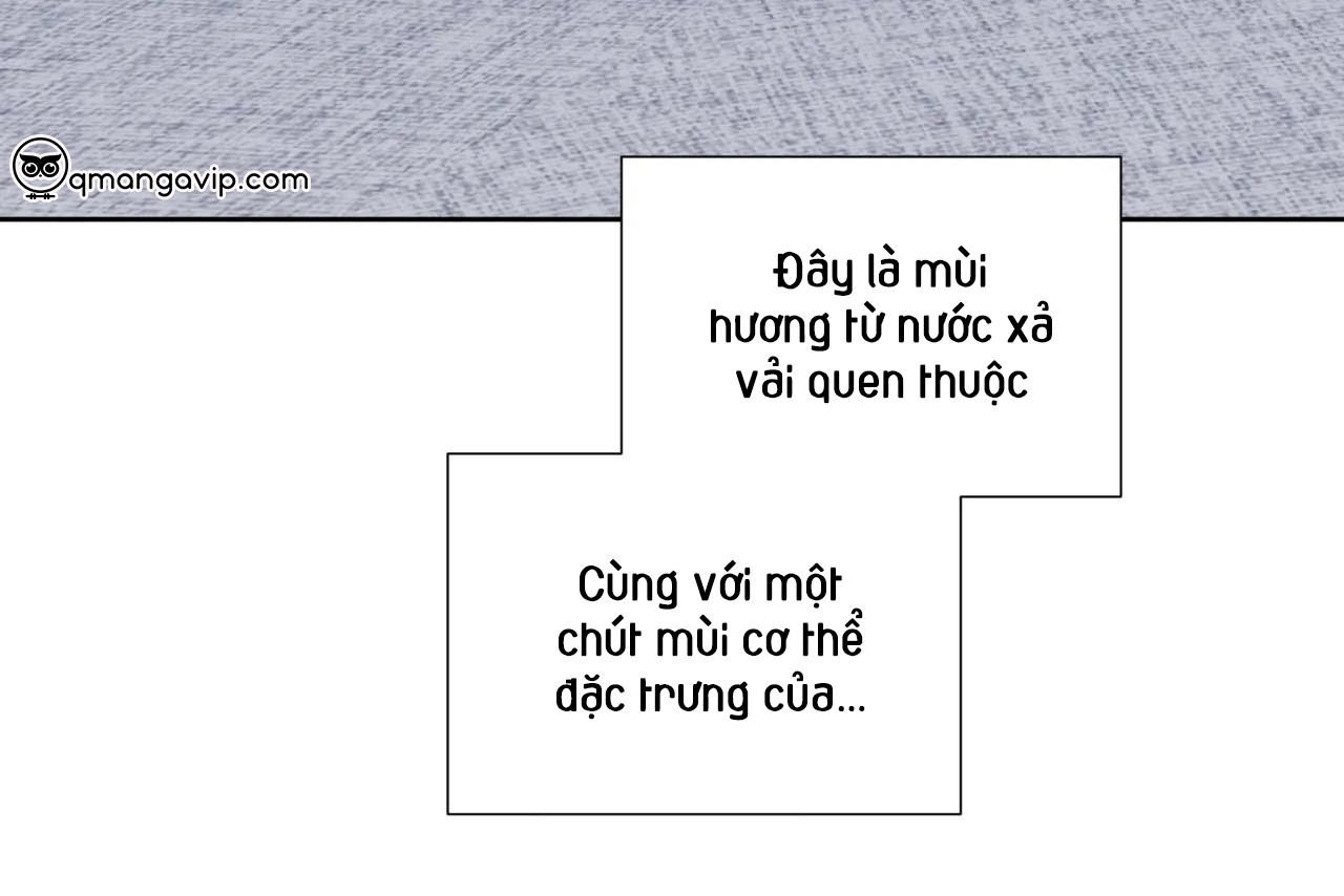 Chứng sợ Pheromone Chapter 60 - Trang 41