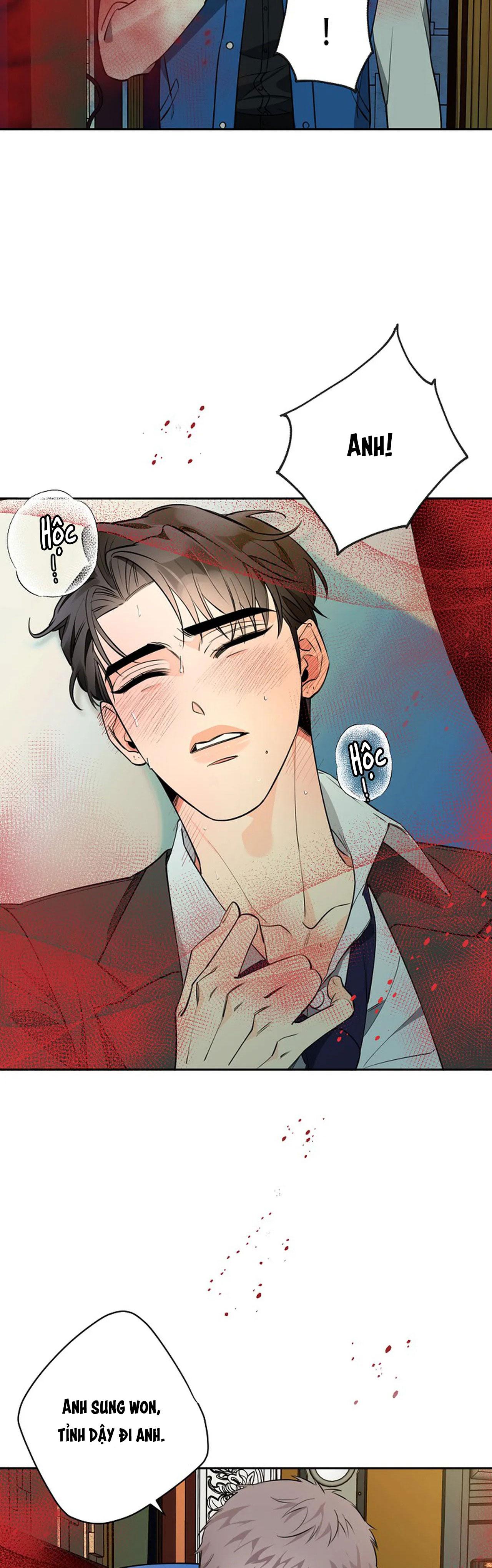 Đêm Dịu Dàng Chapter 37 - Trang 4