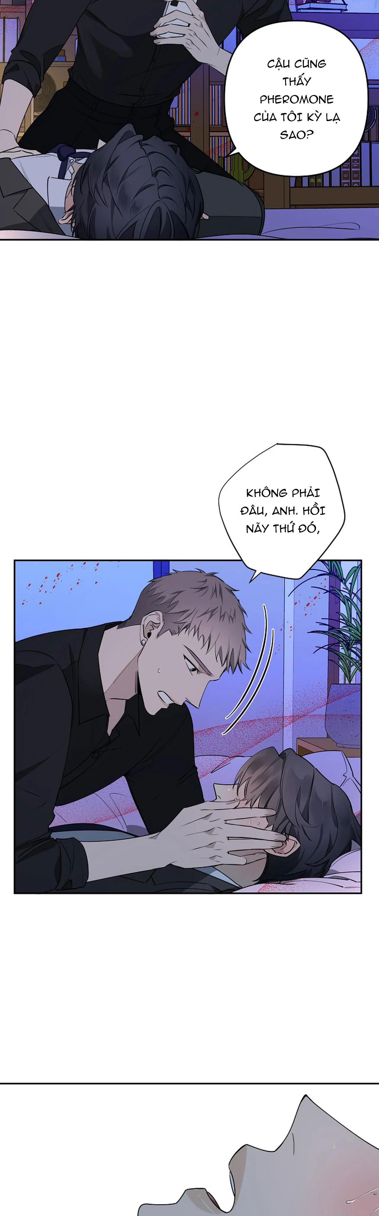 Đêm Dịu Dàng Chapter 38 - Trang 13