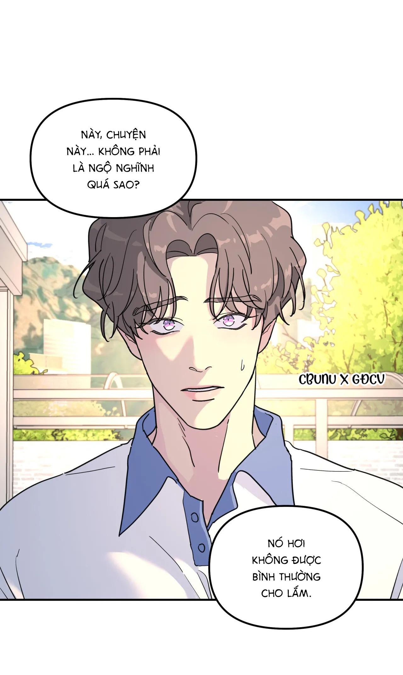 Cây Không Có Rễ Chapter 32 - Trang 20